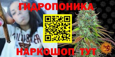 каннабис Сланцы